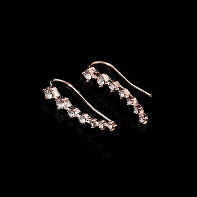 2019 Boucle D'oreille Earring Bijoux Dipper Earrings For Women Jewelry Earings Brincos Girl Earing oorbel